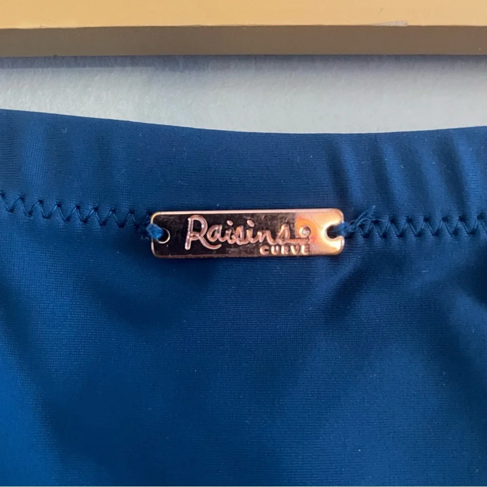 Raisins High-Waisted Ruched Bikini Bottom – Navy Plus Size 20 EUC - Picture 10 of 16